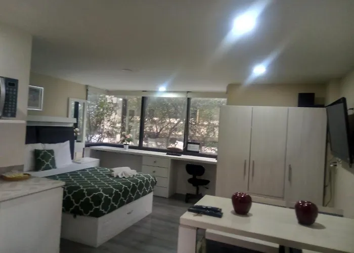 Lovely Loft At The Business Heart Of Mexico City